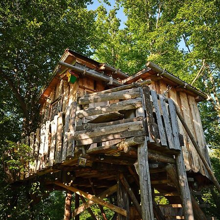 Treehouse Toplak Ruse Buitenkant foto