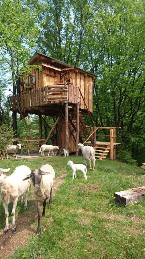 Treehouse Toplak Ruse Buitenkant foto