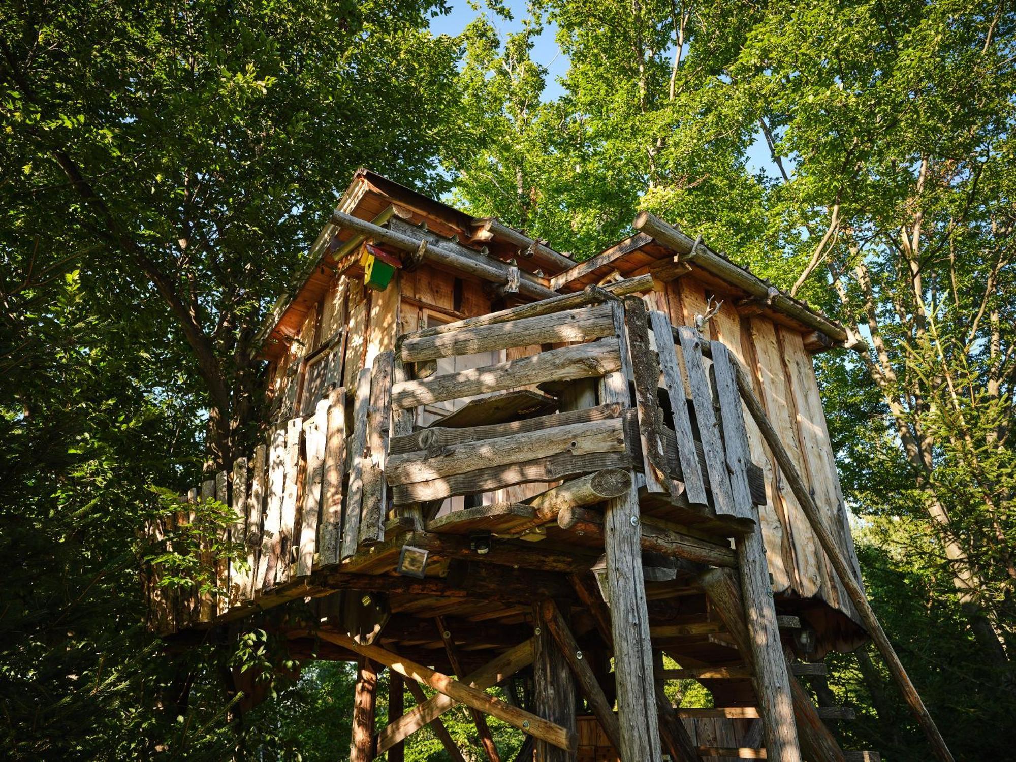 Treehouse Toplak Ruse Buitenkant foto