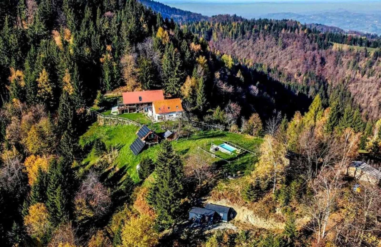 Treehouse Toplak Ruse Buitenkant foto
