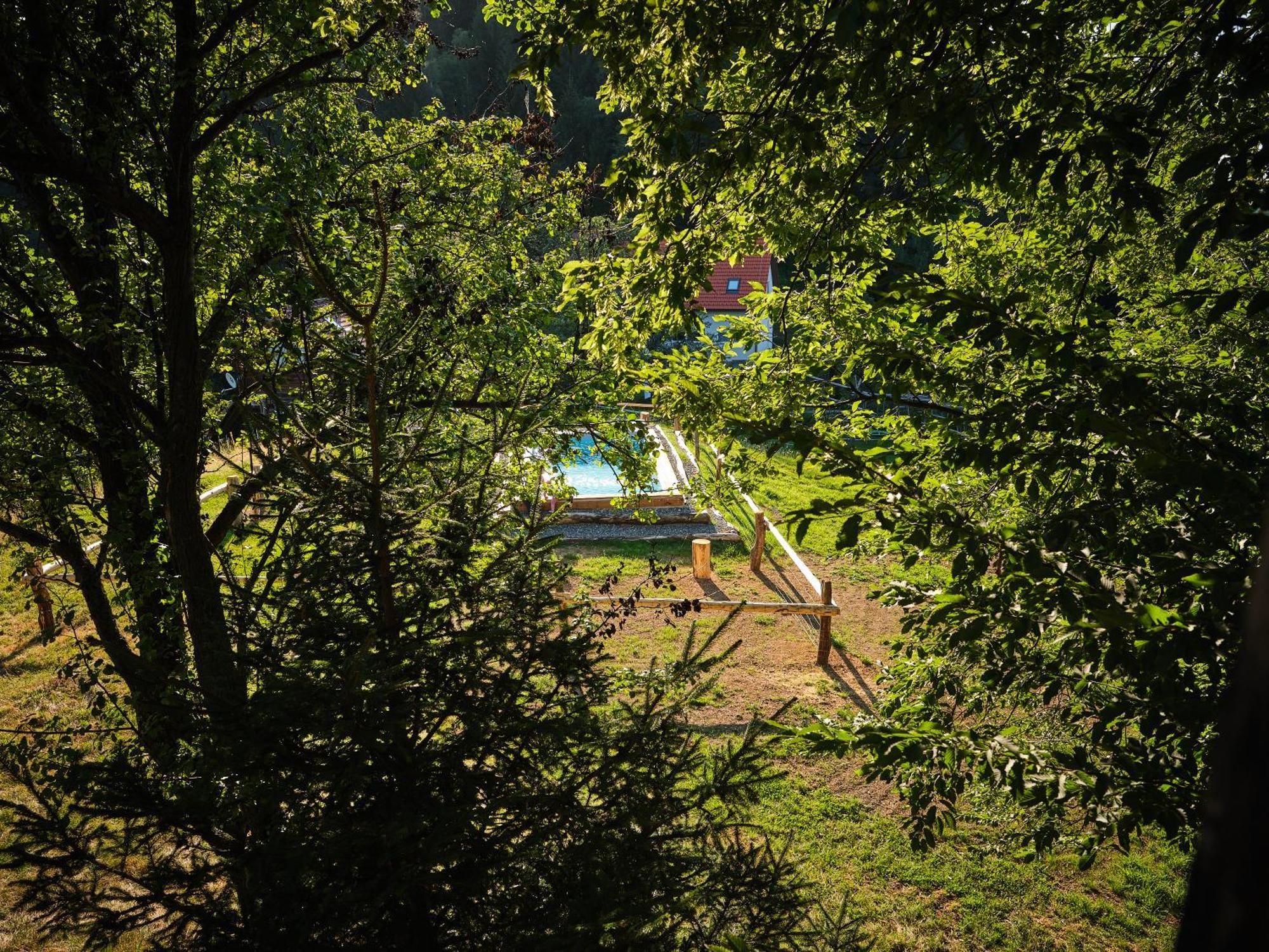 Treehouse Toplak Ruse Buitenkant foto