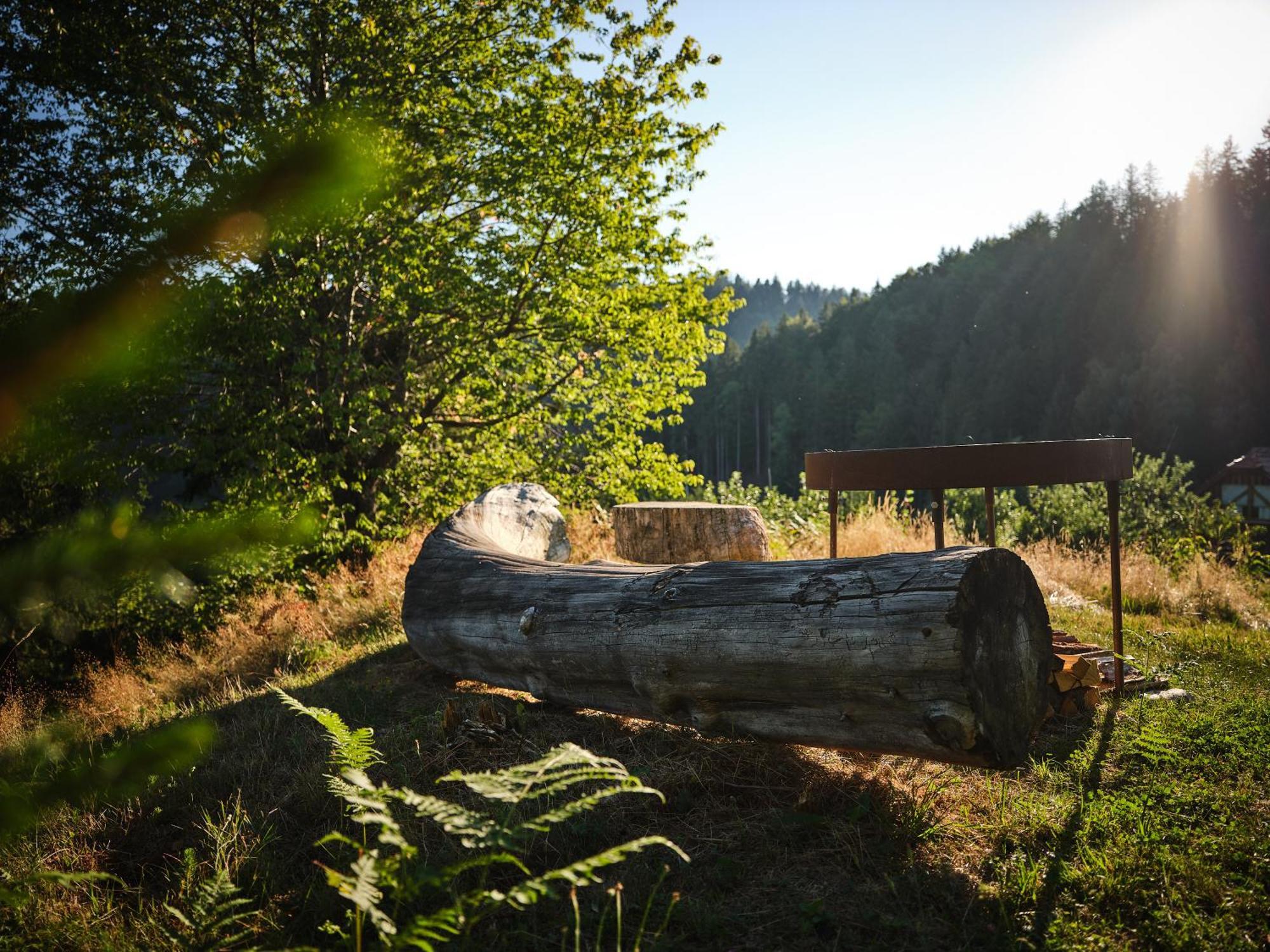 Treehouse Toplak Ruse Buitenkant foto